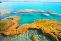 Stromatolites in Bacalar Lagoon of Mexico