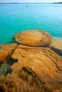 Stromatolites in Bacalar Lagoon of Mexico Royalty Free Stock Photo