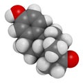 Estrone (oestrone) human estrogen hormone molecule. Atoms are represented as spheres with conventional color coding: hydrogen (