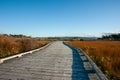 Estuarine environment in Matua Tauranga Royalty Free Stock Photo