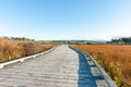 Estuarine environment in Matua Tauranga Royalty Free Stock Photo