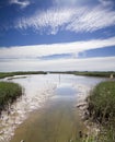 Estuary Royalty Free Stock Photo