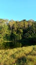 estuary connecting the river with the beach