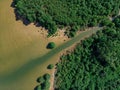 Estuary river and forests overlook by drone DJI mavic mini