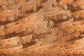 Etched texture of a rock climbing wall in the desert Royalty Free Stock Photo