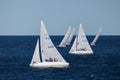 Etchells class Fleet racing sailboat yacht in the sea - Bacardi cup Invitational Regatta