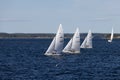 Etchells class Fleet racing sailboat yachts in the sea , Bacardi cup Invitational Regatta