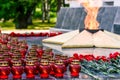 Eternal fire in the form of a star with a burning flame. Red carnations and a lamp. Russian Military memorial