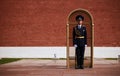 Eternal Flame in the Kremlin. Guard of Honor at the tomb of the Unknown Soldier at the wall of Moscow Kremlin. 11.05