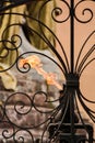 An eternal flame looking thru a wrought iron gate