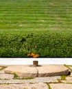 Eternal Flame next to the John F. Kennedy grave at Arlington Nat