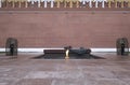 Eternal Flame and the Tomb of the Unknown Soldier near the Kremlin wall with a guard of honor, Moscow, Russia