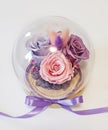 Preserved purple, pink, violet roses arrangement, everlasting flowers Royalty Free Stock Photo