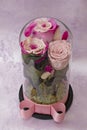 Preserved pink rose arrangement, everlasting flowers Royalty Free Stock Photo