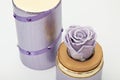 Preserved purple rose arrangement in purple box, everlasting flowers Royalty Free Stock Photo