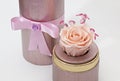 Preserved somon rose arrangement in pink box, everlasting flowers Royalty Free Stock Photo