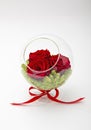 Preserved red roses arrangement, everlasting flowers Royalty Free Stock Photo