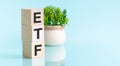 ETF-text on wooden cubes, on a blue background. In the background, a green plant in a white pot. Reflection in a mirror surface