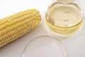 Ethanol as renewable fuel, sustainable green alternative to fossil fuels and biofuel solution concept with corn, glass beaker and