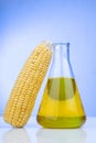 Ethanol biofuel derived from corn maze with beaker in laboratory Royalty Free Stock Photo