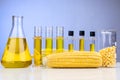 Ethanol biofuel derived from corn maze with beaker test tubes in laboratory Royalty Free Stock Photo