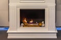 Ethanol Burning Fireplace