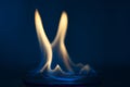 Ethanol fire in glass lab plate Royalty Free Stock Photo