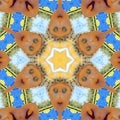 Ethel the Lady Garden Scarecrow Kaleidoscope