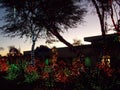 Ethel M Chocolate Factory Cactus Garden Decorated for Christmas