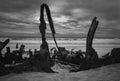 Ethel Wreck Bay with big wreckage on beach, a man passing by