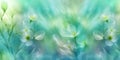 Etheral florat art with white daisy flowers and dreamy blue background