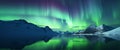 Ethereal aurora borealis dancing across a starlit Arctic sky, casting reflections on snow.