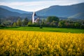 Ethereal Beauty of Spring: Church Amidst Fields of Radiant Yellow Rural Agricultural Landscape Royalty Free Stock Photo