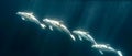 Ethereal Belugas in Ocean Ballet. Concept Underwater Photography, Marine Life, Ocean Conservation,