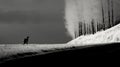 Ethereal Black And White Dog In Snow: Minimalist Winter Landscape