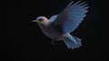 Ethereal Blue Bird Soaring Through Sky - Stunning Aerial Imagery for Nature Enthusiasts and Wildlife Lovers.