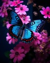 Ethereal Blue Butterfly on Vibrant Pink Flower in Nature\'s Harmony. Generative Ai Royalty Free Stock Photo