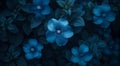 Ethereal Blue Flowers in Moody Lighting