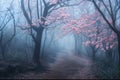 Ethereal Cherry Blossoms Shrouding Misty Forest Trail Royalty Free Stock Photo