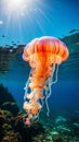 Ethereal Dance: Translucent Jellyfish Gliding Amidst Vibrant Coral Reefs