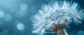 Ethereal Dandelion Whispers Against Blue. Concept Landscape, Nature, Dandelions, Blue Skies,