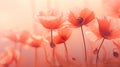 Ethereal double exposure of delicate red poppies in soft, artistic lighting for a captivating image