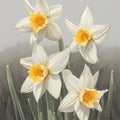 Ethereal Elegance - Watercolor Daffodils in Soft Hues