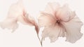 Ethereal Floral Abstractions In Pink And Beige