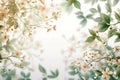 Ethereal Floral Elegance with Blossoms and Leaves - Ideal for Wedding Invitations and Spring Themes