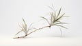 Ethereal Foliage: 3d Air Plant Model On White Background