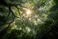 Ethereal Forest Canopy - Generative AI