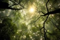 Ethereal Forest Canopy - Generative AI