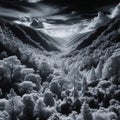 Ethereal Forest Valley View - Mystical Infrared Landscape, AI Generated