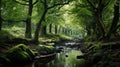 Ethereal Forest In Yorkshire: Atmospheric Woodland Imagery